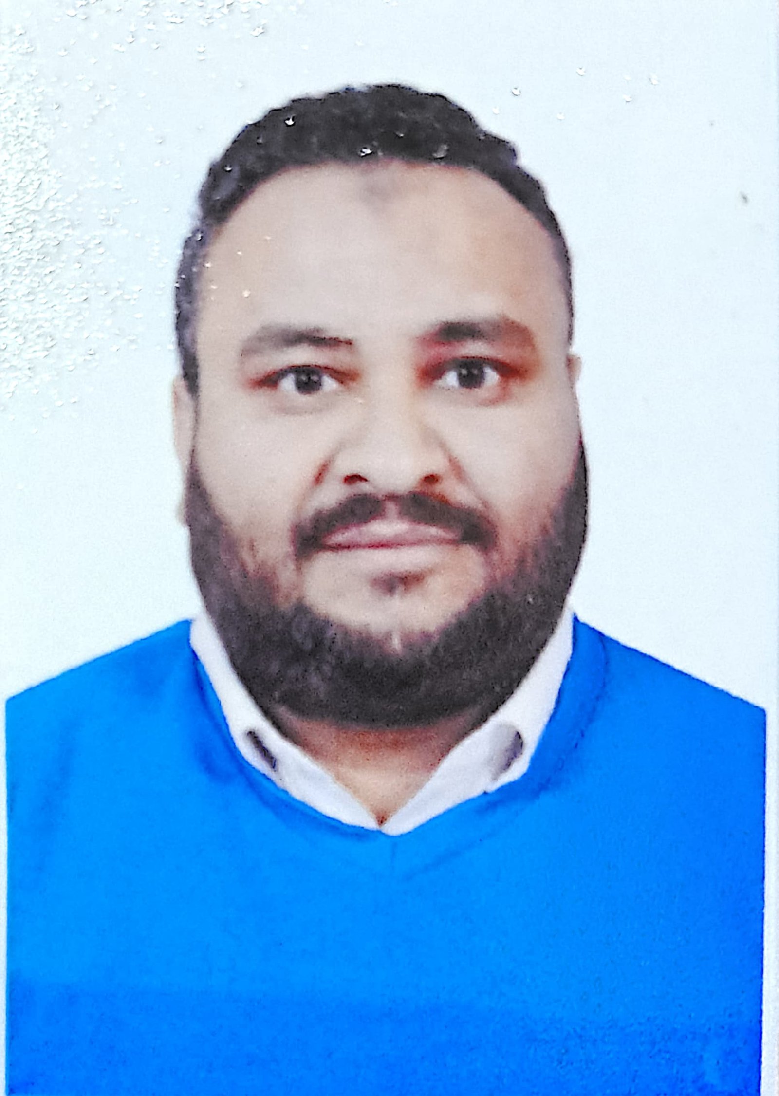 د. إبراهيم سيد